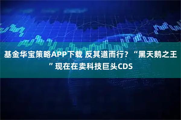 基金华宝策略APP下载 反其道而行？“黑天鹅之王”现在在卖科技巨头CDS